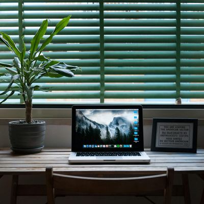 Minimalist wooden desk with a small green plant
